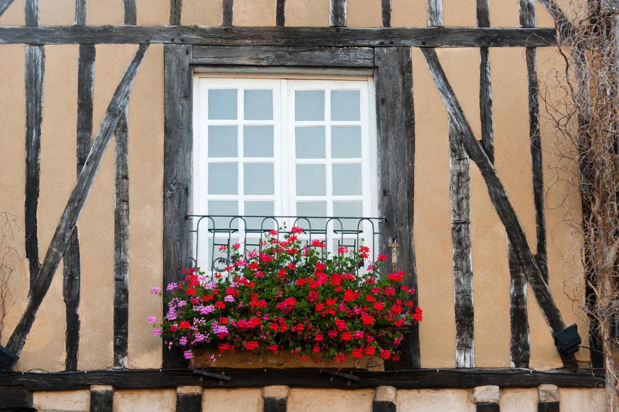 Chambres D'Hote - Maison Des Ecrivains - 50 M De La Cathedrale Et Place Des Jacobins Le Mans Eksteriør billede